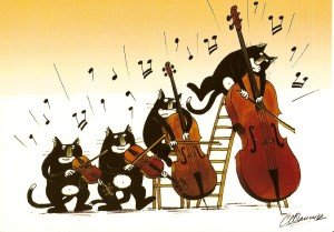 quatuor à chat